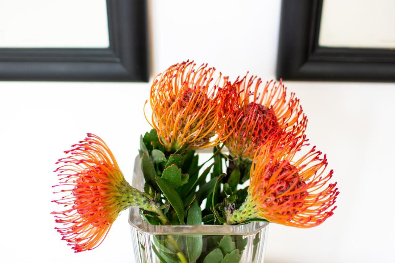 Vida Nova Retreat Hotel Hout Bay Bagian luar foto