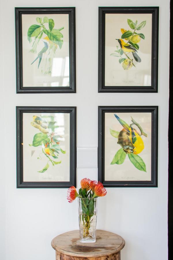 Vida Nova Retreat Hotel Hout Bay Bagian luar foto